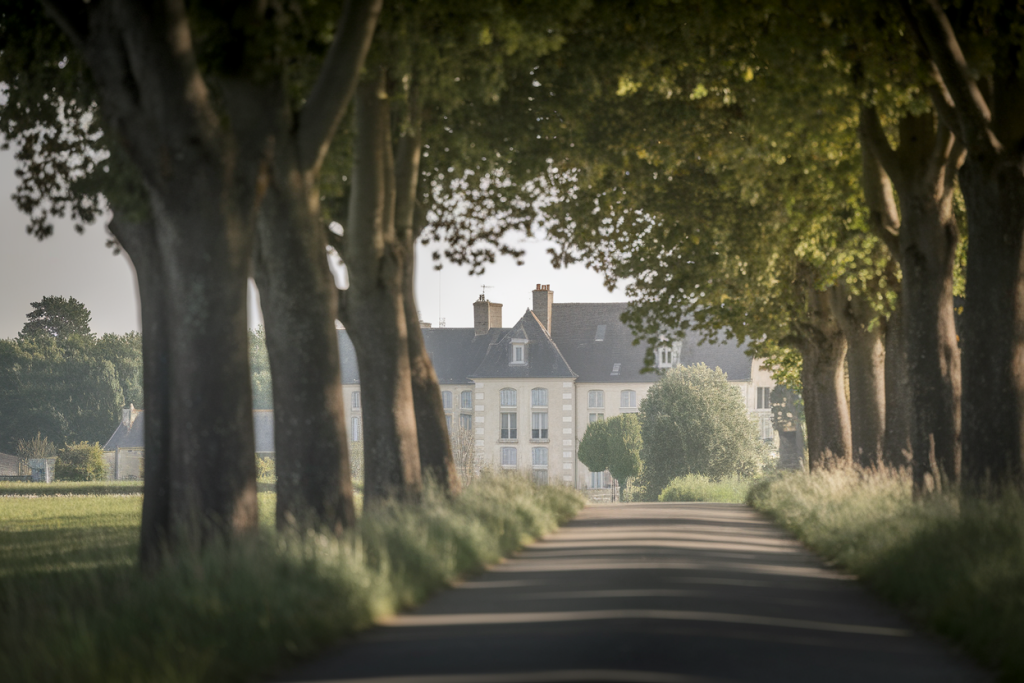 route-campagne-arbres-village