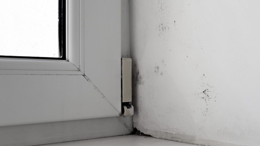 Top 5 des solutions pour réduire l’humidité dans une maison ancienne