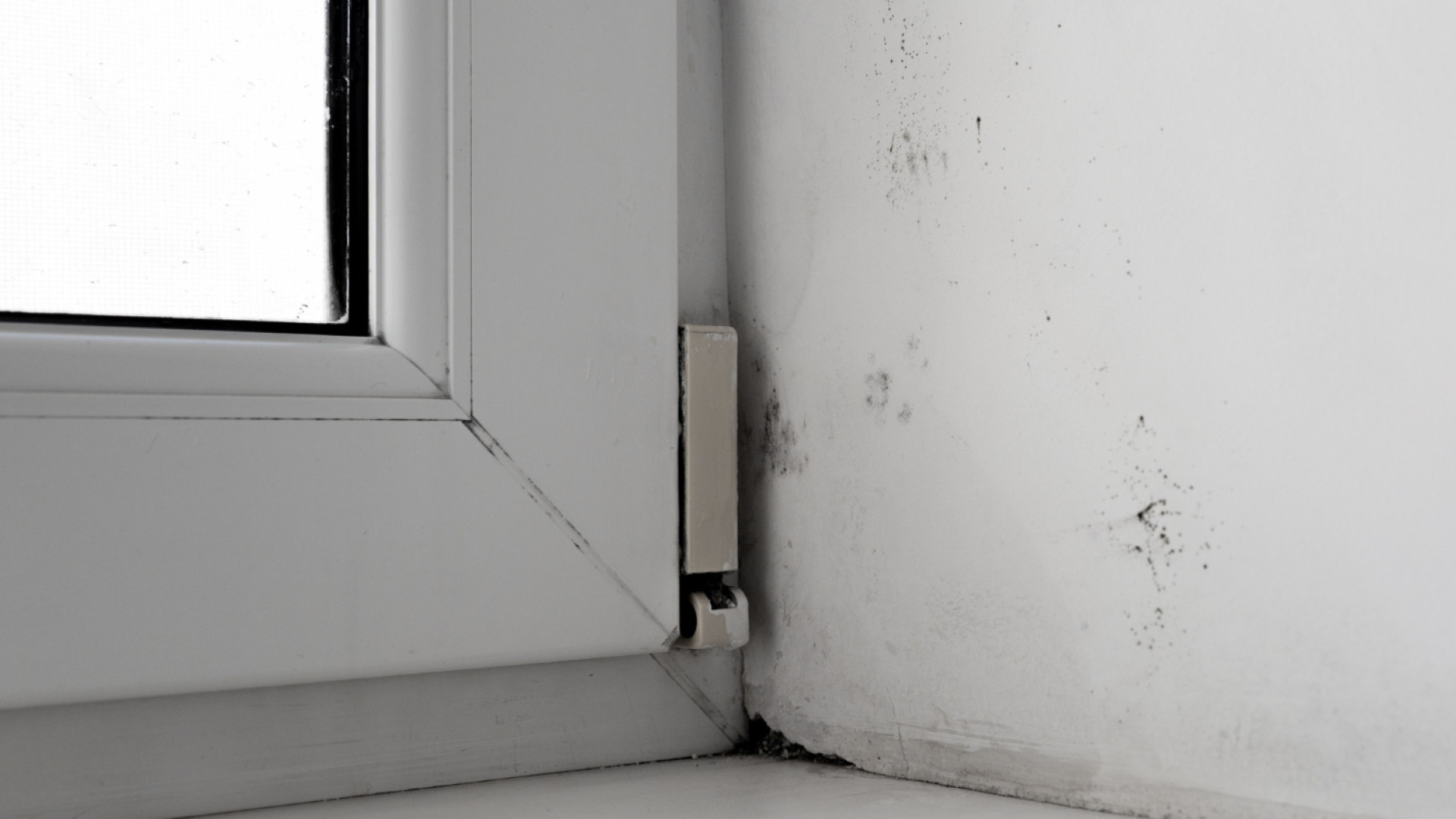 Top 5 des solutions pour réduire l’humidité dans une maison ancienne