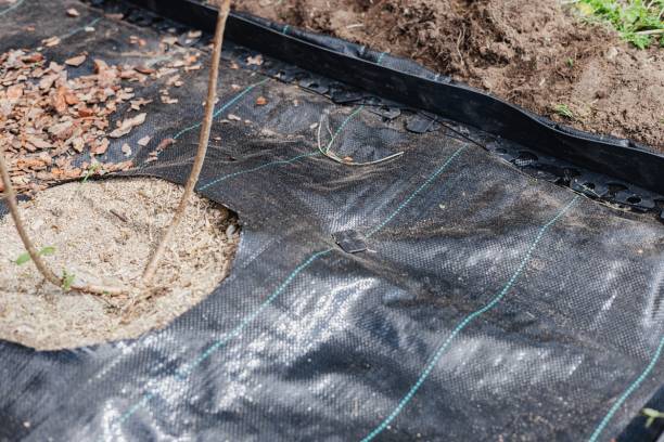 toile de paillage jardin plante