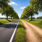 route-campagne-ciel-bleu-arbres-verdoyants