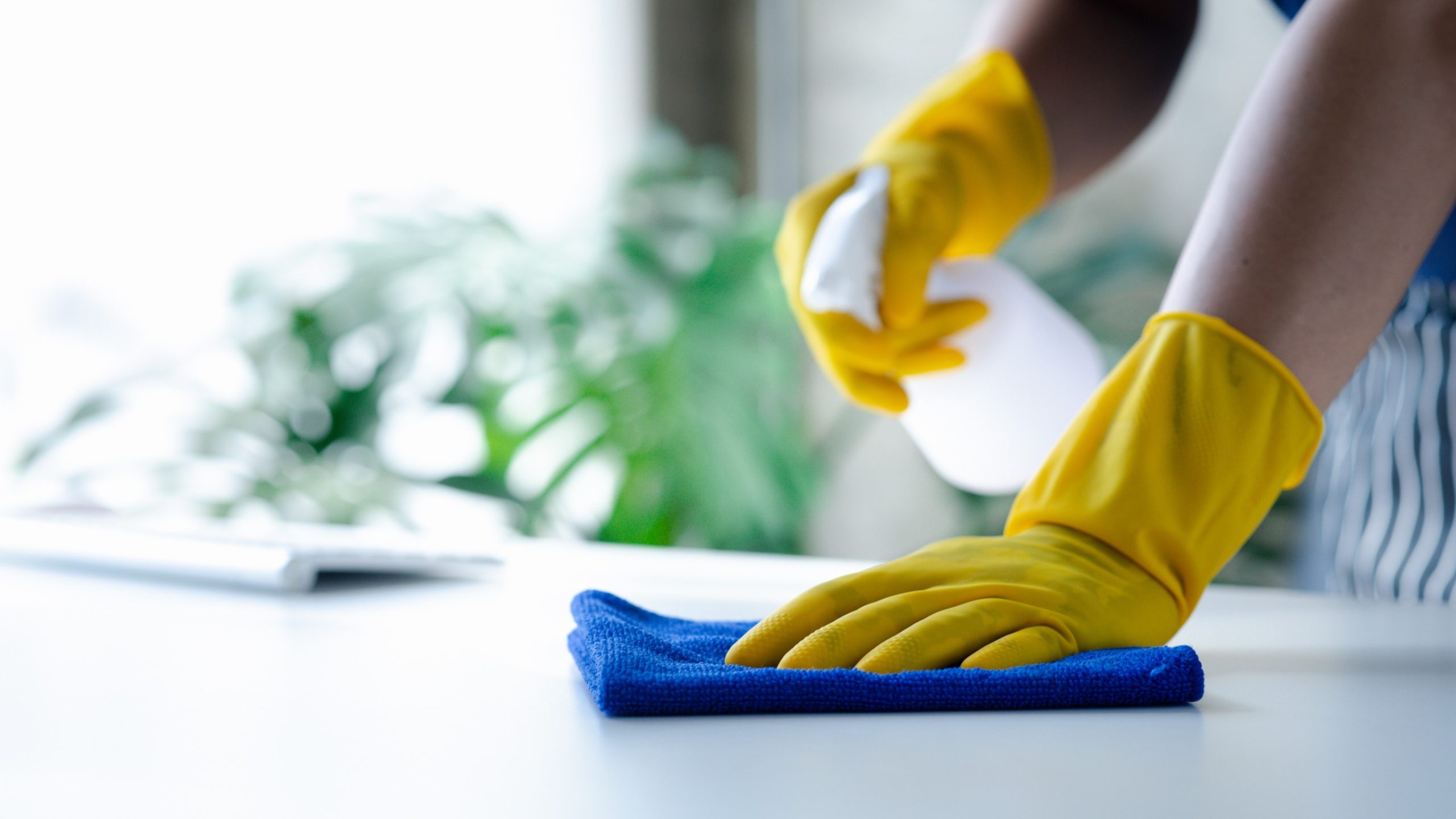 Nettoyage écologique : pourquoi choisir des produits respectueux de l'environnement ?